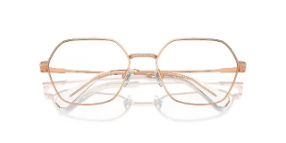 Swarovski Eyeglasses SK1011