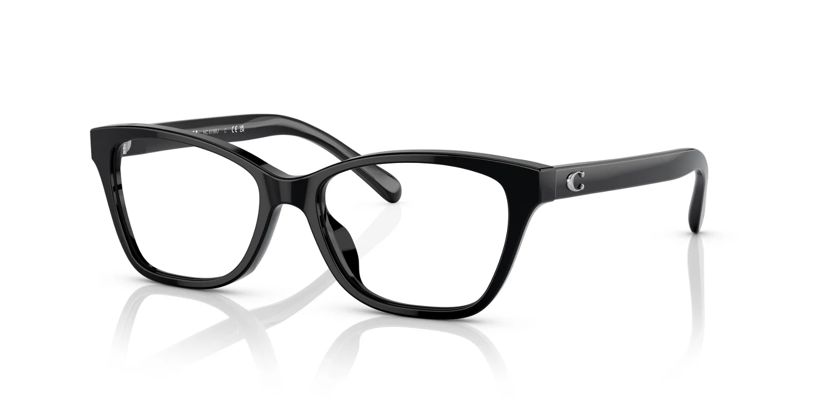 Coach Eyeglasses HC6196U