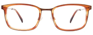 Easyclip Eyeglasses EC617