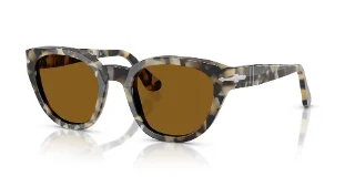 107133 Brown Tortoise