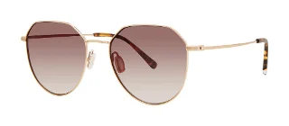 Paradigm Sunglasses 19-30