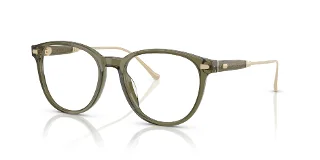 5848 Transparent Olive