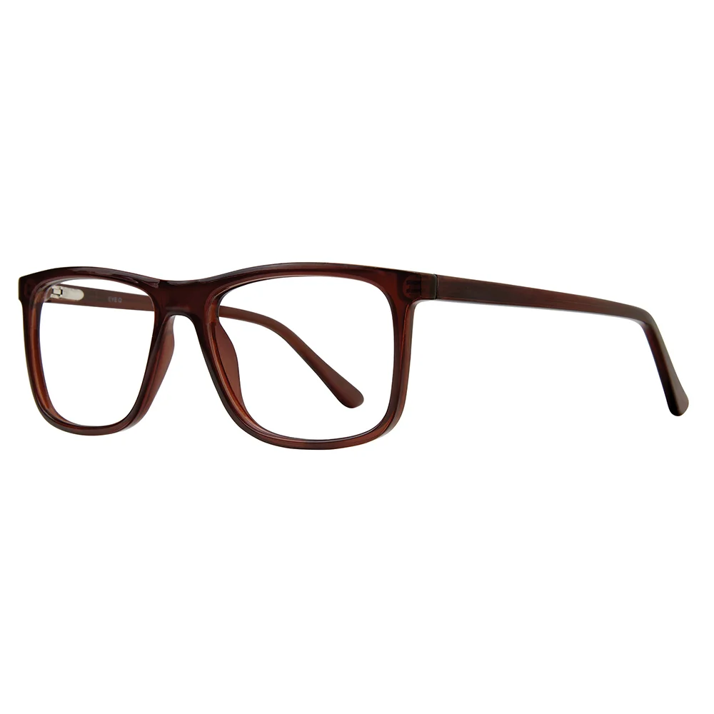 Stylewise Eyeglasses SW232