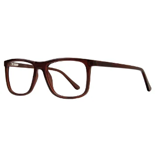 Stylewise Eyeglasses SW232