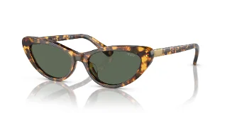 607871 Shiny Havana