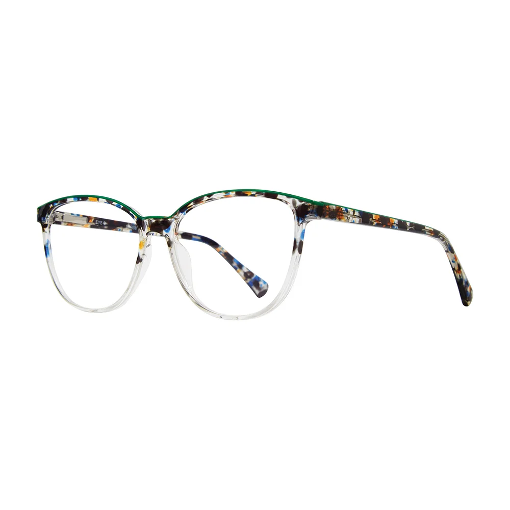 Stylewise Eyeglasses SW458