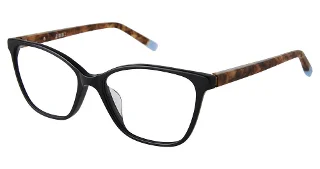C01 Black Tortoise