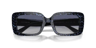 Coach Sunglasses HC8380U