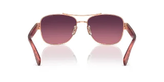 Coach Sunglasses HC7161