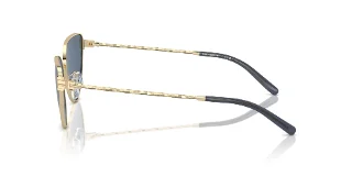 Tory Burch Sunglasses TY6110