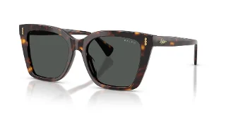 500387 Shiny Dark Havana