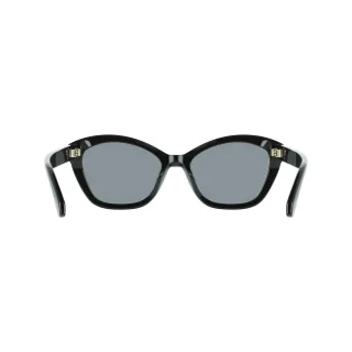 Salvatore Ferragamo Sunglasses SF2119S