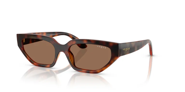 Vogue Sunglasses VJ2029