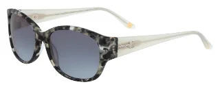 226 Black Tortoise