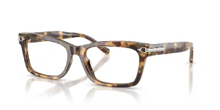 6178 Spotty Havana