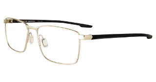 Gold/ Dark Ble (B)