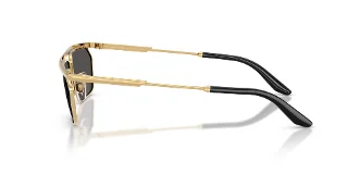 Dolce & Gabbana Sunglasses DG2327