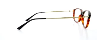 Giorgio Armani Eyeglasses AR7007