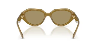 Coach Sunglasses HC8433U