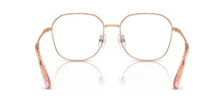 Swarovski Eyeglasses SK1009D