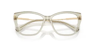 Swarovski Eyeglasses SK2060