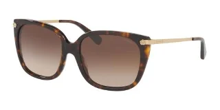 512013 Dark Tortoise