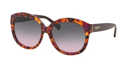 Coach Sunglasses HC8159