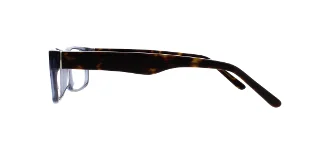 Serafina Eyewear Eyeglasses Champ