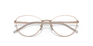 Prada Eyeglasses PR62WV