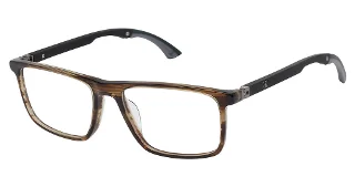C02 BROWN HORN