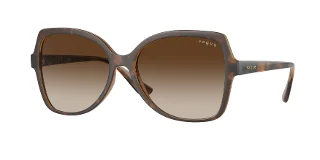 238613 Top Havana/Transparent Brown