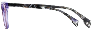 State Optical Eyeglasses Central Park
