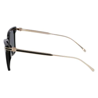 Salvatore Ferragamo Sunglasses SF2036S