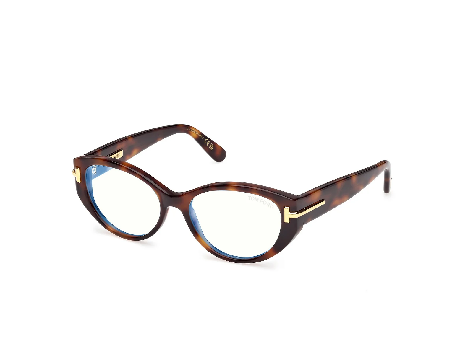 Tom Ford Icon Eyeglasses FT6031-B