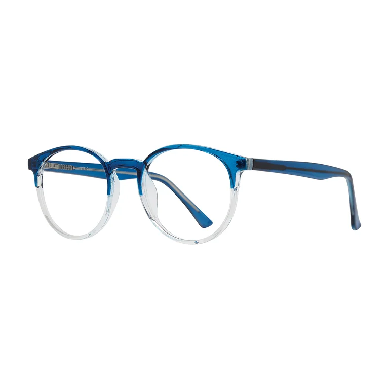 Stylewise Eyeglasses SW348