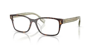 2079 Dark Tortoise