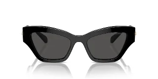 Swarovski Sunglasses SK6021