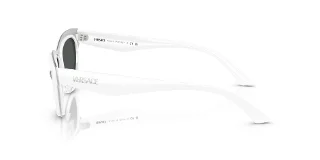 Versace Sunglasses VE2273