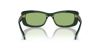 Swarovski Sunglasses SK6008