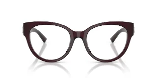 Jimmy Choo Eyeglasses JC3050U