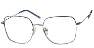 Blue/Silver