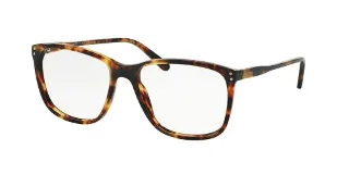 5351 New Jerry Tortoise