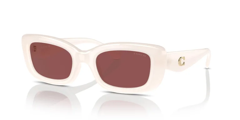 Coach Sunglasses HC8390U