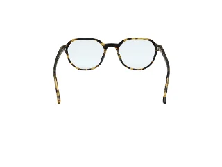 Hollister Eyeglasses HL50028