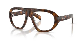 20D08N Juniper Tortoise