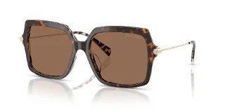 395173 Dark/Cream Tortoise