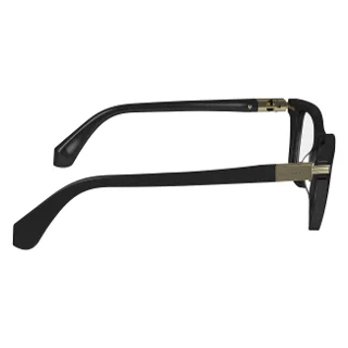 Salvatore Ferragamo Eyeglasses SF2973