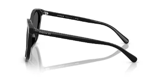 Coach Sunglasses HC8271U