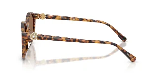 Swarovski Sunglasses SK6075D