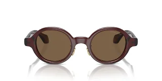 Giorgio Armani Sunglasses AR8205
